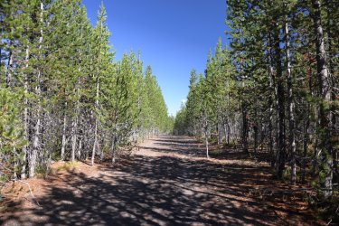 0O7A8397.JPG 0O7A8397.JPG