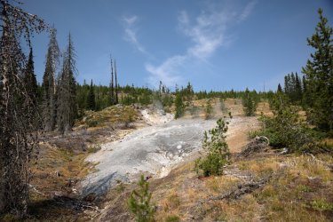 0O7A8479.JPG 0O7A8479.JPG