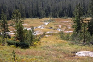 0O7A8534.JPG 0O7A8534.JPG