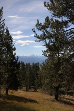 0O7A8537A.jpg 0O7A8537A.jpg