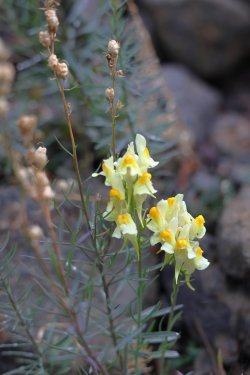 0O7A8626.JPG 0O7A8626.JPG