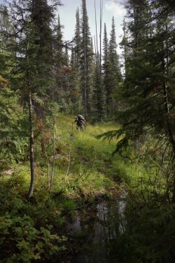 0O7A8627.JPG 0O7A8627.JPG