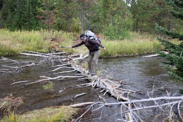 0O7A8724.JPG 0O7A8724.JPG