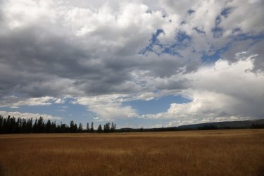 0O7A8731.JPG 0O7A8731.JPG