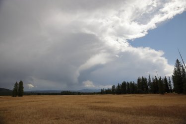 0O7A8734.JPG 0O7A8734.JPG