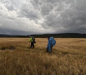 GOPR0742A.jpg GOPR0742A.jpg