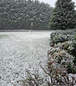 img_10221-01.JPG img_10221-01.JPG