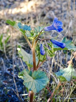 November 8, 2025 - 55 of 107_Original.jpeg