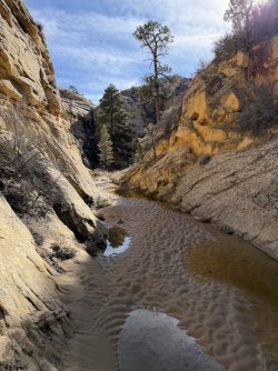 IMG_0063.jpg IMG_0063.jpg