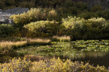 DSCF0187 v2.jpg DSCF0187 v2.jpg