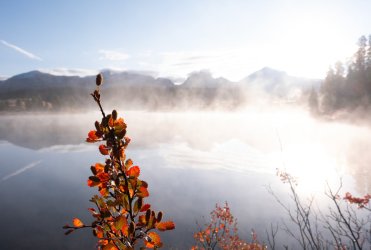 DSCF0248 v2.jpg DSCF0248 v2.jpg