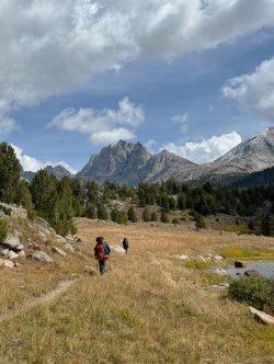 IMG_1798.jpg IMG_1798.jpg