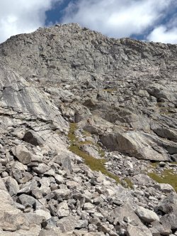 IMG_1860.jpg IMG_1860.jpg