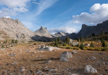 DSCF0439 v1.jpg DSCF0439 v1.jpg