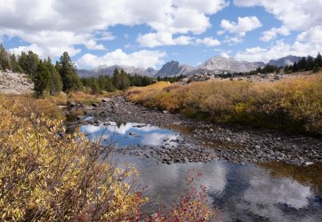 DSCF0490 v1.jpg DSCF0490 v1.jpg