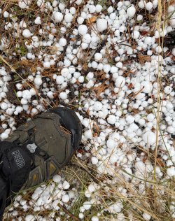 IMG_1918 v2.jpg IMG_1918 v2.jpg