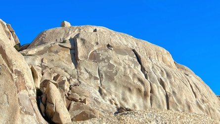 IMG_3523.jpeg IMG_3523.jpeg