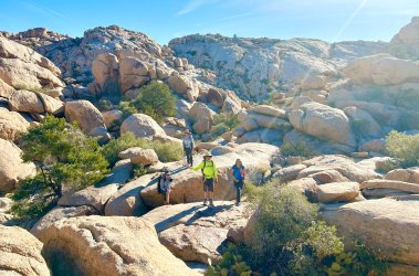 IMG_3505.jpeg IMG_3505.jpeg