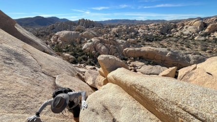 IMG_8461_Original.jpeg IMG_8461_Original.jpeg