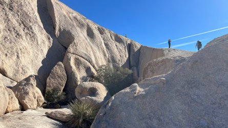 IMG_8469_Original.jpeg IMG_8469_Original.jpeg