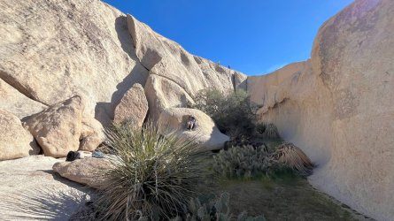 IMG_8480_Original.jpeg IMG_8480_Original.jpeg