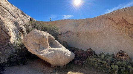 IMG_8485_Original.jpeg IMG_8485_Original.jpeg