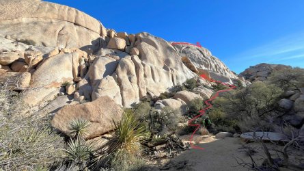 IMG_7031.jpeg IMG_7031.jpeg