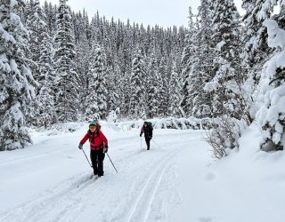 IMG_2020.jpg IMG_2020.jpg