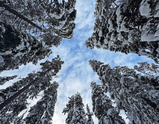 IMG_2032.jpg IMG_2032.jpg