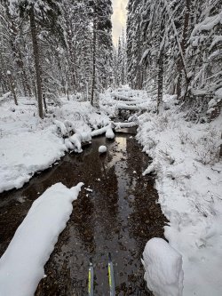 IMG_2045.jpg IMG_2045.jpg