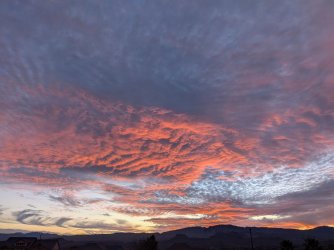 PXL_20260119_005123648 (1).jpg