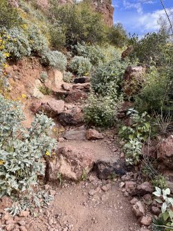 IMG_7198.jpg IMG_7198.jpg