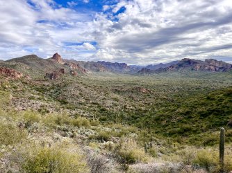 IMG_7201.jpg IMG_7201.jpg