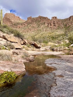 IMG_7223.jpg IMG_7223.jpg