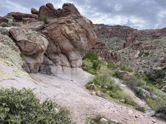 IMG_7234.jpg IMG_7234.jpg