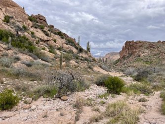 IMG_7239.jpg IMG_7239.jpg