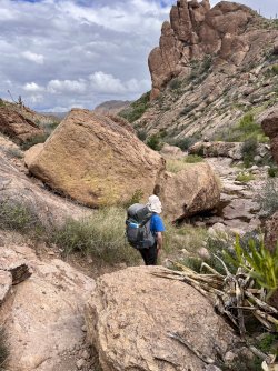 IMG_7242.jpg IMG_7242.jpg