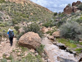 IMG_7247.jpg IMG_7247.jpg