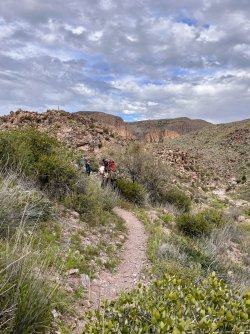 IMG_7255.jpg IMG_7255.jpg