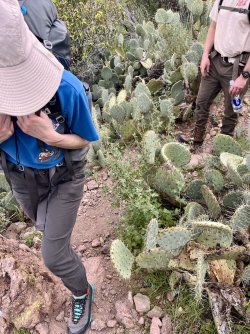 IMG_7262.jpg IMG_7262.jpg