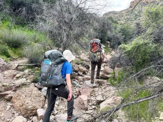 IMG_7264.jpg IMG_7264.jpg