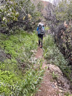 IMG_7267.jpg IMG_7267.jpg