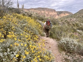 IMG_7270.jpg IMG_7270.jpg