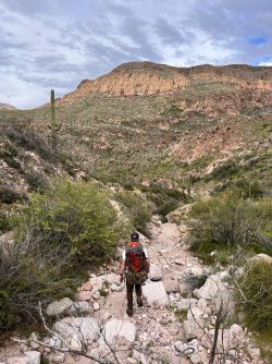 IMG_7275.jpg IMG_7275.jpg