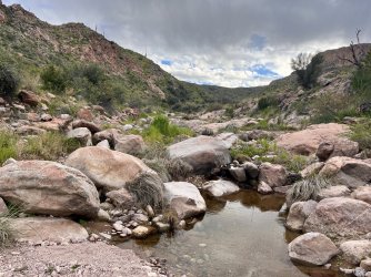 IMG_7278.jpg IMG_7278.jpg