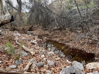 IMG_7281.jpg IMG_7281.jpg