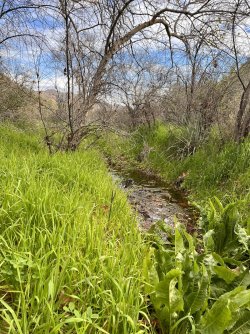 IMG_7287.jpg IMG_7287.jpg