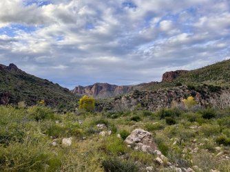 IMG_7293.jpg IMG_7293.jpg