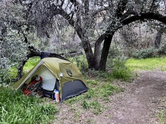 IMG_7302.jpg IMG_7302.jpg