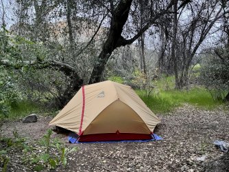 IMG_7305.jpg IMG_7305.jpg